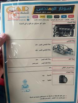 جيب رينيجيد